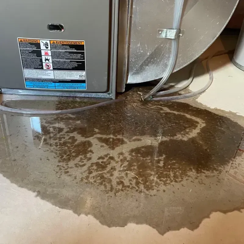 Appliance Leak Cleanup in Guyton, GA